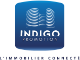 Indigo Promotion